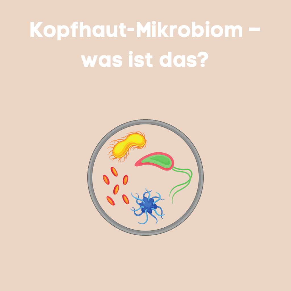 Kopfhaut-Mikrobiom - Costhetic